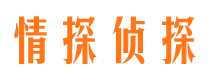 成武侦探